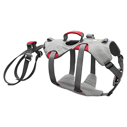 Ruffwear Kletter-Hundegeschirr, Sehr kleine Hunderassen, Größenverstellbar, Größe: XS, Grau, Doubleback Geschirr, 30301-045S1 Ruffwear Kletter-Hundegeschirr, Sehr kleine Hunderassen, Größenverstellbar, Größe: XS, Grau, Doubleback Geschirr, 30301-045S1 von RUFFWEAR