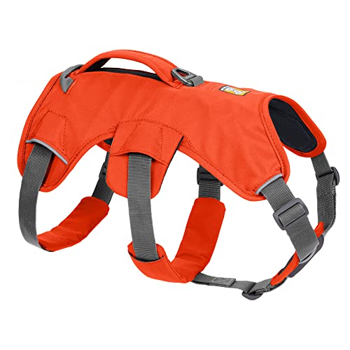 RUFFWEAR Mehrzweck-Hundegeschirr mit Griff, Web Master, verstellbares, Geschirr, 2 Leinenbefestigungen, für den täglichen Gebrauch, Blaze Orange, L/XL RUFFWEAR Mehrzweck-Hundegeschirr mit Griff, Web Master, verstellbares, Geschirr, 2 Leinenbefestigungen, für den täglichen Gebrauch, Blaze Orange, L/XL von RUFFWEAR