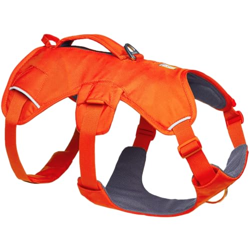 Ruffwear Web Master Hundegeschirr, Y-Front-Hundegeschirr mit Griff und verbesserter Schnalle, verstellbar und leicht für Spaziergänge und Wanderungen, fluchtsicher, kein Ziehen, Blaze Orange, Größe S von Ruffwear