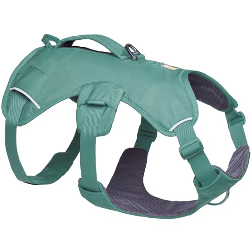 Ruffwear Web Master Hundegeschirr, Y-Front-Hundegeschirr mit Griff und verbesserter Schnalle, verstellbar und leicht für Spaziergänge und Wanderungen, fluchtsicher, kein Ziehen, River Rock Green, S Ruffwear Web Master Hundegeschirr, Y-Front-Hundegeschirr mit Griff und verbesserter Schnalle, verstellbar und leicht für Spaziergänge und Wanderungen, fluchtsicher, kein Ziehen, River Rock Green, S von RUFFWEAR