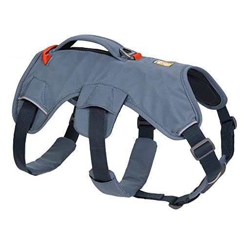 RUFFWEAR Mehrzweck-Hundegeschirr mit Griff, Web Master, verstellbares, Geschirr, 2 Leinenbefestigungen, für den täglichen Gebrauch, Slate Blue, S RUFFWEAR Mehrzweck-Hundegeschirr mit Griff, Web Master, verstellbares, Geschirr, 2 Leinenbefestigungen, für den täglichen Gebrauch, Slate Blue, S von RUFFWEAR