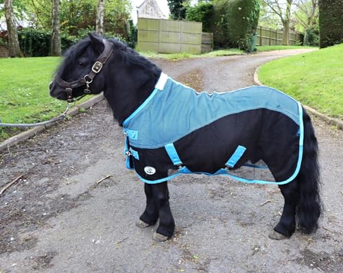 Ruggles Fleece-/Netz-Kühldecke für Shetlandpony, Miniaturpferd, Esel, ideal für Reisen, stabiles Kühlen/Trocknen nach dem Training oder Baden (Schwarz/Himmelblau, 1,2 m) von Ruggles