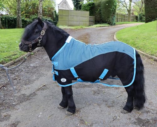Ruggles Fleece-/Netz-Kühldecke für Shetlandpony, Miniaturpferd, Esel, ideal für Reisen, stabiles Kühlen/Trocknen nach dem Training oder Baden (Schwarz/Himmelblau, 120 cm) von Ruggles