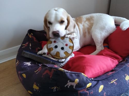 Ruggles Hundespielzeug – robustes Wildleder-Hundespielzeug – Zerren, Werfen, Kauen (Doughnut) von Ruggles