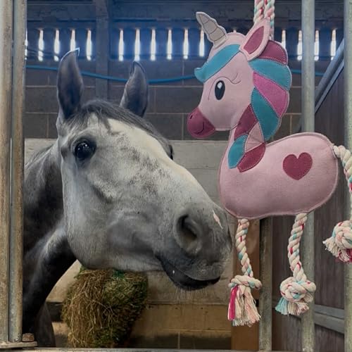 Ruggles Pferdestall Spielzeug - Langeweile Buster für Pferd Pony Esel - Hängendes Einhorn Stallspielzeug von Ruggles