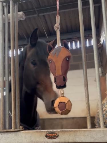 Ruggles Pferdestallspielzeug | Langeweile Buster für Pferde Pony Esel (Pferdekopf) von Ruggles