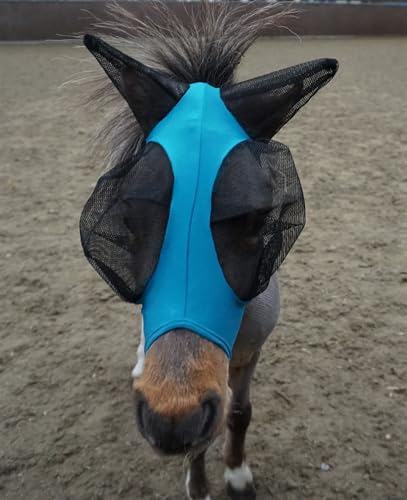 Ruggles Shetland Miniatur-Fliegenmaske mit Ohren, Stretch-Lycra, Augenschutz für Pferde und Ponys, Aqua, X-Mini Ruggles Shetland Miniatur-Fliegenmaske mit Ohren, Stretch-Lycra, Augenschutz für Pferde und Ponys, Aqua, X-Mini von Ruggles