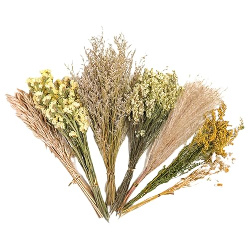 Ruhnjyg Blumenhamster-Bettwäsche – Haustier-Bettwäsche, natürliches Thema, Käfigdekoration, Blumenhamster, Bettwäsche, Käfigzubehör für Rennmäuse Ruhnjyg Blumenhamster-Bettwäsche – Haustier-Bettwäsche, natürliches Thema, Käfigdekoration, Blumenhamster, Bettwäsche, Käfigzubehör für Rennmäuse von Ruhnjyg