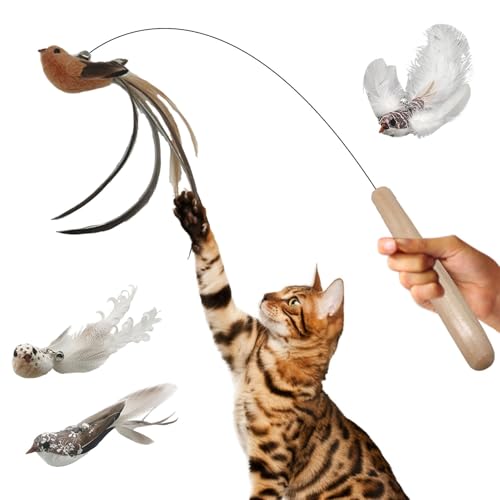 Ruhnjyg Katzenangel-Spielzeug | Katzenstab-Spielzeug für Indoor-Katzen – Katzenspielzeug, Katzenspielzeug, Hänge, Tür, selbstspielendes Katzenspielzeug für Katze, Kätzchen, Übung Ruhnjyg Katzenangel-Spielzeug | Katzenstab-Spielzeug für Indoor-Katzen – Katzenspielzeug, Katzenspielzeug, Hänge, Tür, selbstspielendes Katzenspielzeug für Katze, Kätzchen, Übung von Ruhnjyg