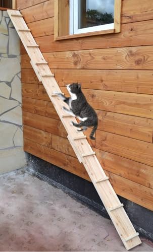 Ruhti - Katzentreppe Katzenleiter Katzenstufe für Balkon, Treppe etc.| 1 bis 7 m (1 m) von Ruhti