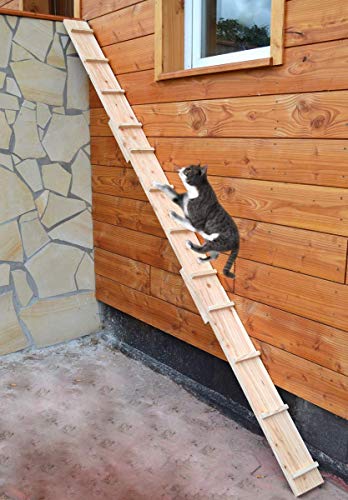 Ruhti - Katzentreppe Katzenleiter Katzenstufe für Balkon, Treppe etc.| 1 bis 7 m (2 m) von Ruhti