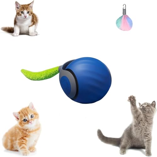 RuiDay 2 Stück Interaktives Katzenspielzeug, Automatischer 360 Grad Katzenspielzeug Selbstbeschäftigung, Interaktives Katzenspielzeug, Interaktiver Spielball für Katzen mit 2 Schwänze (Blau 1 Stück) RuiDay 2 Stück Interaktives Katzenspielzeug, Automatischer 360 Grad Katzenspielzeug Selbstbeschäftigung, Interaktives Katzenspielzeug, Interaktiver Spielball für Katzen mit 2 Schwänze (Blau 1 Stück) von RuiDay