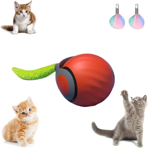 RuiDay 2 Stück Interaktives Katzenspielzeug, Automatischer 360 Grad Katzenspielzeug Selbstbeschäftigung, Interaktives Katzenspielzeug, Interaktiver Spielball für Katzen mit 2 Schwänze (Orange 1 Stück) RuiDay 2 Stück Interaktives Katzenspielzeug, Automatischer 360 Grad Katzenspielzeug Selbstbeschäftigung, Interaktives Katzenspielzeug, Interaktiver Spielball für Katzen mit 2 Schwänze (Orange 1 Stück) von RuiDay