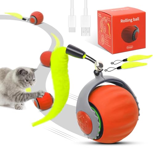 RuiDay 2025 Interaktives Katzenspielzeug, interaktiver Katzenball mit drei Modi, zwei Geschwindigkeitseinstellungen, interaktives Katzenspielzeug für drinnen und draußen, Rot RuiDay 2025 Interaktives Katzenspielzeug, interaktiver Katzenball mit drei Modi, zwei Geschwindigkeitseinstellungen, interaktives Katzenspielzeug für drinnen und draußen, Rot von RuiDay