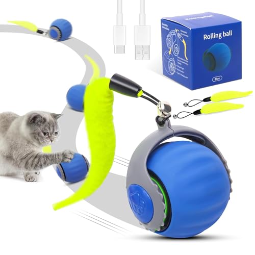 RuiDay Katzenspielzeug, interaktives Katzenspielzeug, interaktiver Katzenball, drei Modi, zwei Geschwindigkeitseinstellungen, interaktives Katzenspielzeug für drinnen und draußen, Blau RuiDay Katzenspielzeug, interaktives Katzenspielzeug, interaktiver Katzenball, drei Modi, zwei Geschwindigkeitseinstellungen, interaktives Katzenspielzeug für drinnen und draußen, Blau von RuiDay