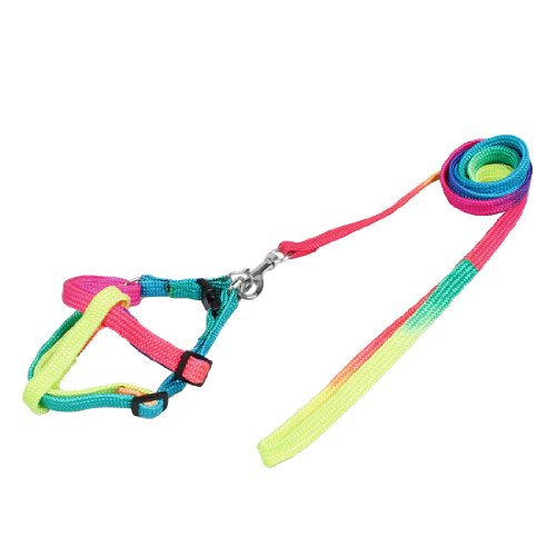 Ruilogod 1,2 m einstellbar Haltelhund Nylon Kreis String PET LEASH XL 2XL Ruilogod 1,2 m einstellbar Haltelhund Nylon Kreis String PET LEASH XL 2XL von Ruilogod
