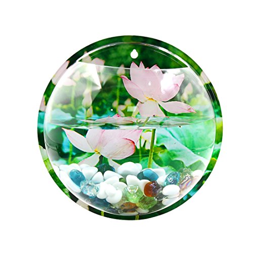 Ruilogod 10.2inch Dia / 1,2 Gallone Acryl Wandmontierter Fischbös-Tank Hängende Pflanze Schüssel Fischtank Ruilogod 10.2inch Dia / 1,2 Gallone Acryl Wandmontierter Fischbös-Tank Hängende Pflanze Schüssel Fischtank von Ruilogod