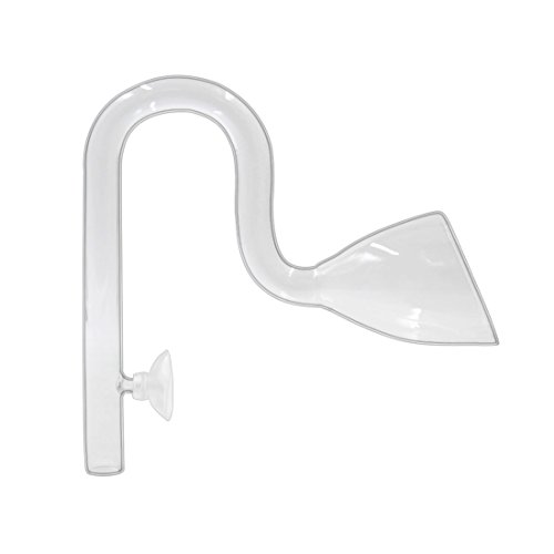 Ruilogod 13mm Klarglas Outlet Rohr Lily Pipe Aquarium Pflanzenbehälter Zubehör Ruilogod 13mm Klarglas Outlet Rohr Lily Pipe Aquarium Pflanzenbehälter Zubehör von Ruilogod