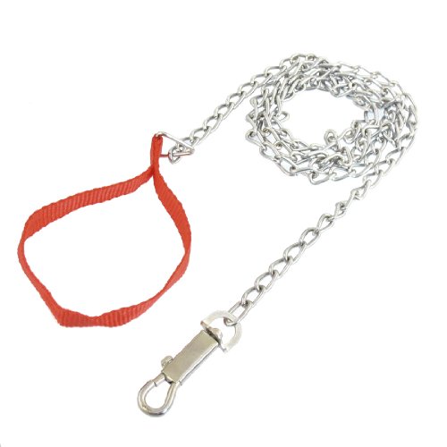 Ruilogod 64" lange Metallkette Red Nylon Kragen-Leine-Kit für Haustiere Training Ruilogod 64" lange Metallkette Red Nylon Kragen-Leine-Kit für Haustiere Training von Ruilogod