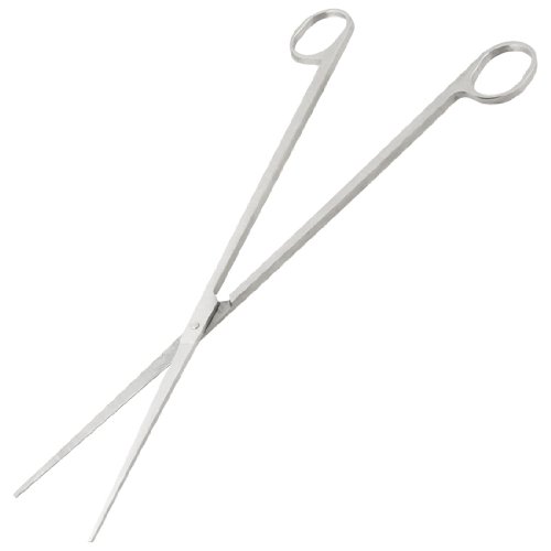 Ruilogod 9.9inch Silber Ton Edelstahl Gerade Schere für Aquarium Live-Anlage von Ruilogod