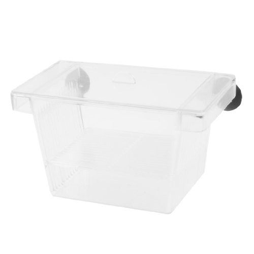 Ruilogod Aquarium durchsichtigem Kunststoff 2 Schichten Fischlaich Hatchery Züchter Abscheidetank Box Ruilogod Aquarium durchsichtigem Kunststoff 2 Schichten Fischlaich Hatchery Züchter Abscheidetank Box von Ruilogod