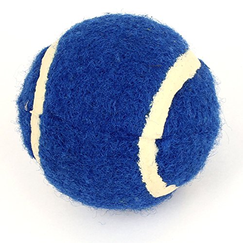Ruilogod Ball geformt Pet saubere Zähne Spielen Chew Spielzeug blau Ruilogod Ball geformt Pet saubere Zähne Spielen Chew Spielzeug blau von Ruilogod