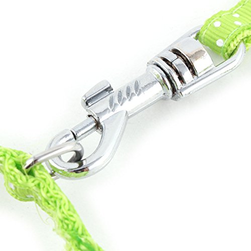 Ruilogod DOT Print Dog Einstellbarer Trainingspaziergang Halter Leine Transportkabel Traktionsseil Gürtelgras Grün Grün Ruilogod DOT Print Dog Einstellbarer Trainingspaziergang Halter Leine Transportkabel Traktionsseil Gürtelgras Grün Grün von Ruilogod