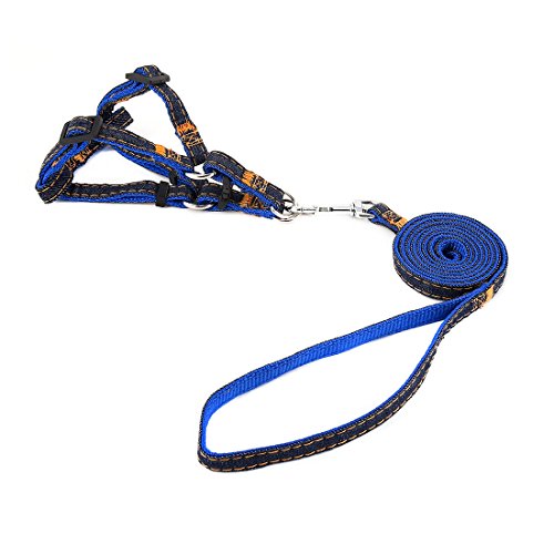 Ruilogod Denim-Hundeleine und Brustgurt Griff Haustier Picknick Laufen Adjustable No Pull (Blau, S) von Ruilogod