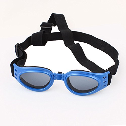 Ruilogod Dog Fashion Brille UV-Schutz-Sonnenbrillen Sonnenbrillen Goggles Ruilogod Dog Fashion Brille UV-Schutz-Sonnenbrillen Sonnenbrillen Goggles von Ruilogod