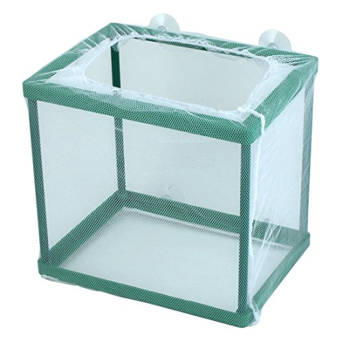 Ruilogod Fischtank Aquariumrahmen Net Fry Bratchery Züchter 17 x 12,7 x 16,3 cm weiß Ruilogod Fischtank Aquariumrahmen Net Fry Bratchery Züchter 17 x 12,7 x 16,3 cm weiß von Ruilogod