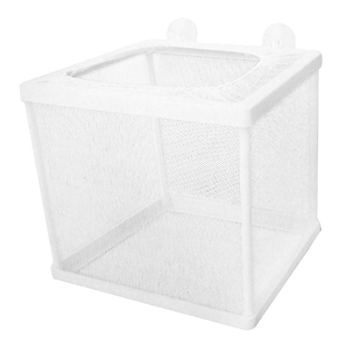 Ruilogod Fischtank Fishbowl Aquarium Kunststoffrahmen Weiß Net Frittenbrütenzüchter Ruilogod Fischtank Fishbowl Aquarium Kunststoffrahmen Weiß Net Frittenbrütenzüchter von Ruilogod