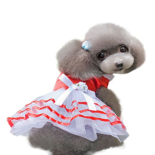 Ruilogod Frühling, Sommer, Hund Kleid Bowknotprinzessin Spitze-Rock-Haustier-Kleidung Kleid-Kostüm, rot S Ruilogod Frühling, Sommer, Hund Kleid Bowknotprinzessin Spitze-Rock-Haustier-Kleidung Kleid-Kostüm, rot S von Ruilogod