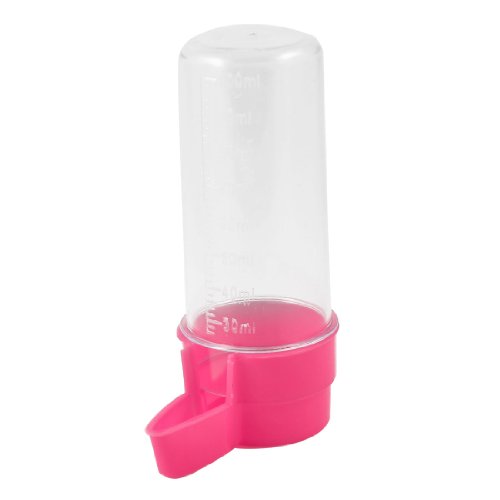 Ruilogod Fuchsia Clear Water Bottle Feeder Waterer für Cage Haustier-Vogel 100ml Ruilogod Fuchsia Clear Water Bottle Feeder Waterer für Cage Haustier-Vogel 100ml von Ruilogod