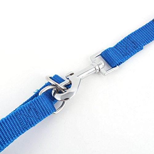 Ruilogod Haustier Hund Schnalle Gürtelband Kabelbaum Bleileine Walking Training Seil Blau Ruilogod Haustier Hund Schnalle Gürtelband Kabelbaum Bleileine Walking Training Seil Blau von Ruilogod