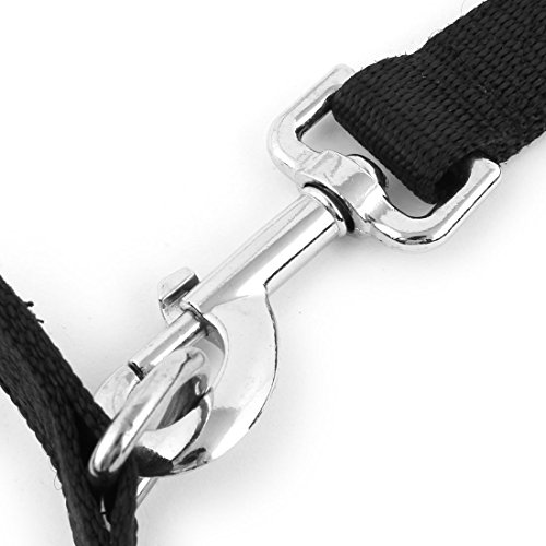 Ruilogod Haustier Hund Schwenkhaken Walking Training Z107 Seil Gürtel Leine Black W Hals Kragen Ruilogod Haustier Hund Schwenkhaken Walking Training Z107 Seil Gürtel Leine Black W Hals Kragen von Ruilogod