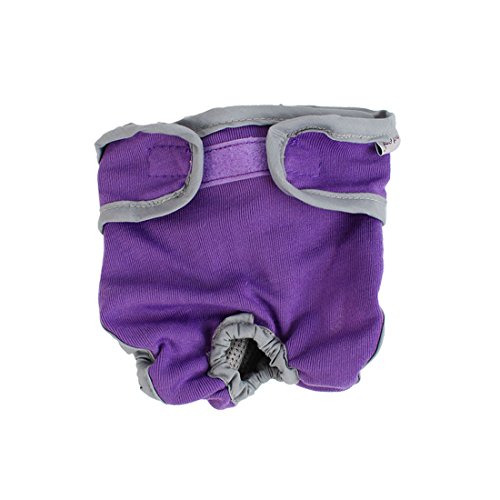 Ruilogod Haustier Hund Yorkie Abnehmbare Schließung Taille Windelhosen XS, Grau, Lila Ruilogod Haustier Hund Yorkie Abnehmbare Schließung Taille Windelhosen XS, Grau, Lila von Ruilogod