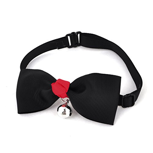 Ruilogod Haustier einstellbares Riemenglocke Bell Krawatte Bowtie Black Ruilogod Haustier einstellbares Riemenglocke Bell Krawatte Bowtie Black von Ruilogod