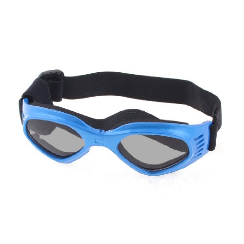 Ruilogod Haustierhund Yorkie Black Blue Justierbare faltbare Sonnenbrillenbrillen Ruilogod Haustierhund Yorkie Black Blue Justierbare faltbare Sonnenbrillenbrillen von Ruilogod