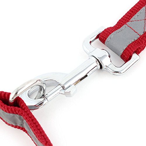 Ruilogod Hund Haustier Nylon Walking Training Seil Gürtel Leine Nackenkragen Brace Unterstützung Rot von Ruilogod