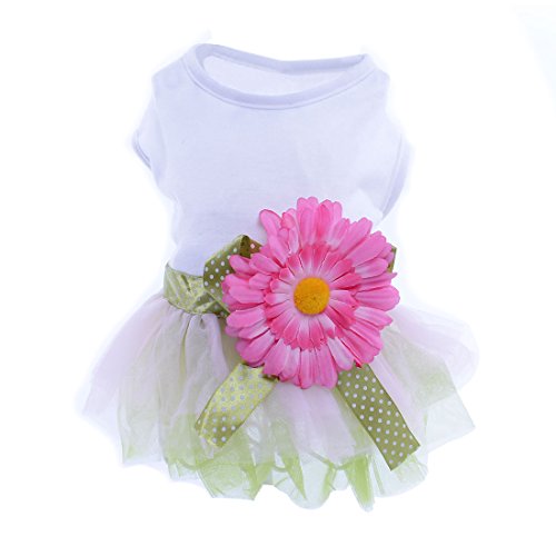 Ruilogod Hundekleid Daisy Verbandsmull Haustier-Katzen-Prinzessin Tutu Bowknot-Sommer-Kleidung-Kostüm, Weiß, XXL von Ruilogod