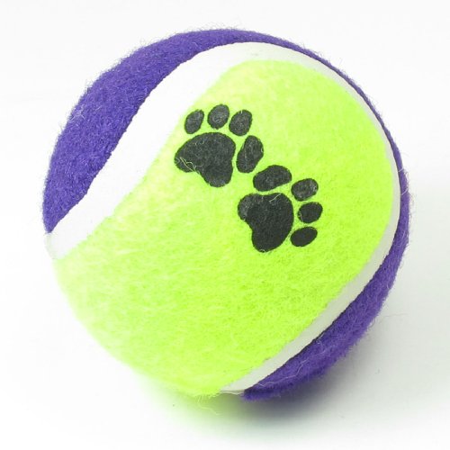 Ruilogod Hundetatzen-Druck Lila, Gelb, Grün Fang holt Tennisball-Spielzeug für Katzen-Haustier Ruilogod Hundetatzen-Druck Lila, Gelb, Grün Fang holt Tennisball-Spielzeug für Katzen-Haustier von Ruilogod