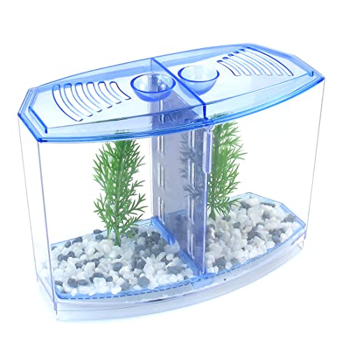 Ruilogod Klare Kunststoff-Dual-Fächer Fish Betta Fütterungstank Carbonfilter 3 in 1 Set Ruilogod Klare Kunststoff-Dual-Fächer Fish Betta Fütterungstank Carbonfilter 3 in 1 Set von Ruilogod