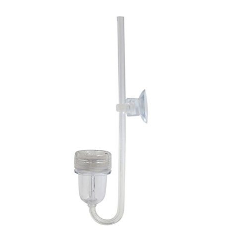Ruilogod Klarer Acryl CO2 Blase Diffusor W Luftventil Sauger Tasse Aquarium Zubehör Set Ruilogod Klarer Acryl CO2 Blase Diffusor W Luftventil Sauger Tasse Aquarium Zubehör Set von Ruilogod