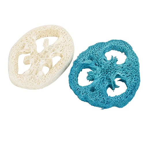 Ruilogod Klee-Form-Luffa-Haustier-Katze-Hundewelpe Spielzeug 2 Stück Teal Ruilogod Klee-Form-Luffa-Haustier-Katze-Hundewelpe Spielzeug 2 Stück Teal von Ruilogod