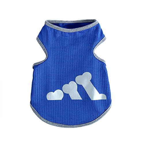 Ruilogod Kleines Hundehemd Atmungsaktive Knochenmuster Haustier Kleidung Welpen Sommer Weste Kostüm blau s Ruilogod Kleines Hundehemd Atmungsaktive Knochenmuster Haustier Kleidung Welpen Sommer Weste Kostüm blau s von Ruilogod