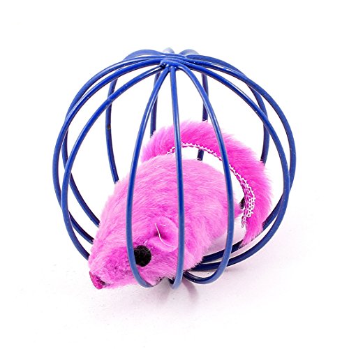Ruilogod Kugel-Form-Katze, die Ausbildung Gefälschte Maus Cage Toy Fuchsia Blau Ruilogod Kugel-Form-Katze, die Ausbildung Gefälschte Maus Cage Toy Fuchsia Blau von Ruilogod