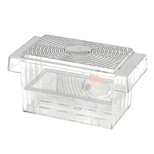 Ruilogod Kunststoff Aquarium Fishing Tank Brüterei Züchtungskasten Fall klar Ruilogod Kunststoff Aquarium Fishing Tank Brüterei Züchtungskasten Fall klar von Ruilogod