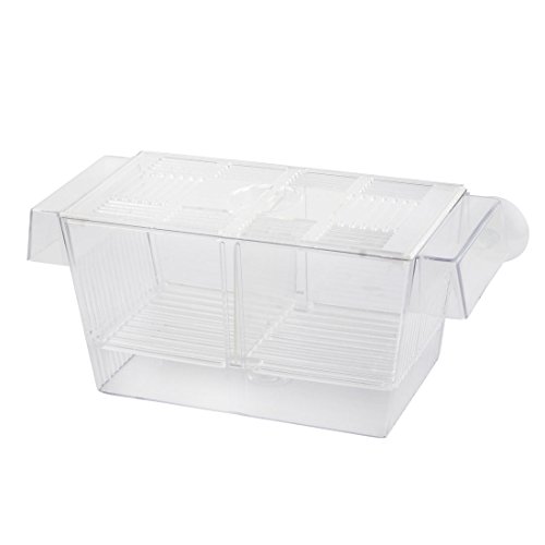 Ruilogod Kunststoff Aquarium Mini Fish Fry Bratchery Zucht Sepering Box Klar Ruilogod Kunststoff Aquarium Mini Fish Fry Bratchery Zucht Sepering Box Klar von Ruilogod