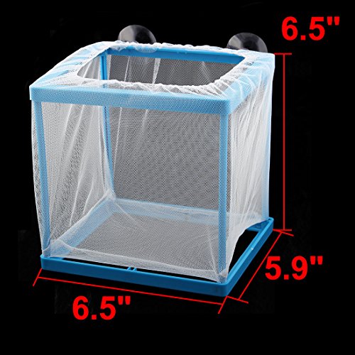 Ruilogod Kunststoff Aquariumrahmen Frittenbrühe Isolation Shrimp Mesh Net Züchter Weiß Blau Ruilogod Kunststoff Aquariumrahmen Frittenbrühe Isolation Shrimp Mesh Net Züchter Weiß Blau von Ruilogod