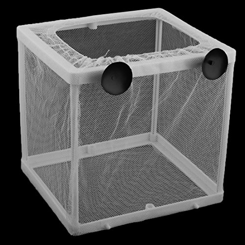 Ruilogod Kunststoff-Fischtank Rechteckrahmen Fry Brüterei Mesh Aquarium Nettozüchter 26,3 x 15 x 15,2 cm weiß Ruilogod Kunststoff-Fischtank Rechteckrahmen Fry Brüterei Mesh Aquarium Nettozüchter 26,3 x 15 x 15,2 cm weiß von Ruilogod